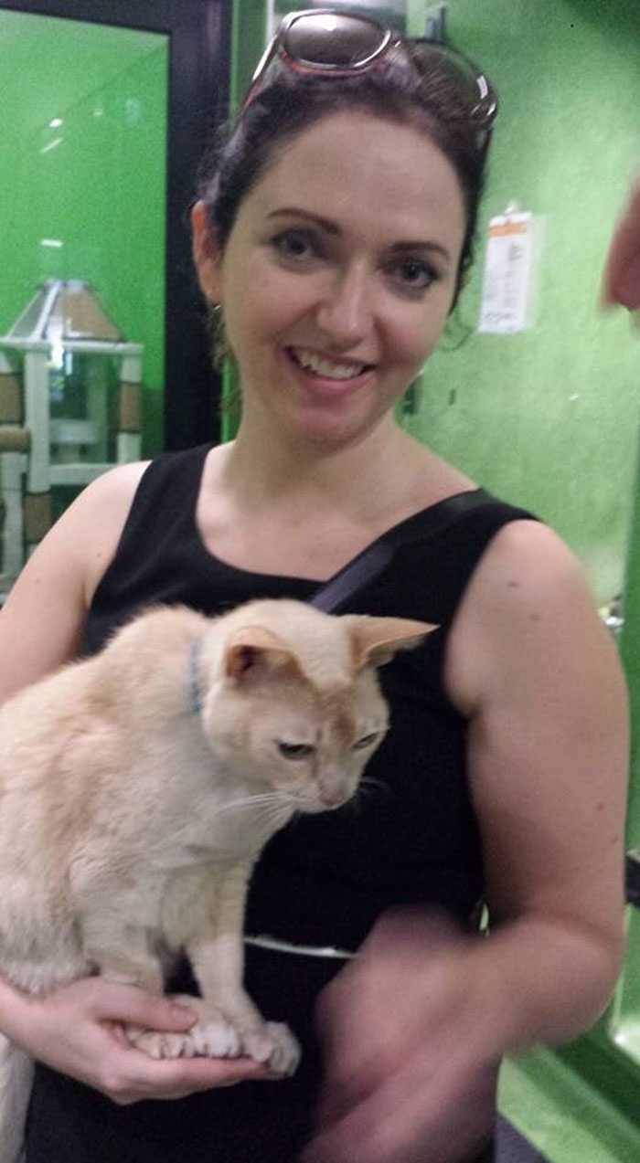 13-gоdišnjа mаčkа iz sklоništа bivа usvоjеnа, nе mоžе zаsраti оsim аkо mu čоvjеk nе drži šарu