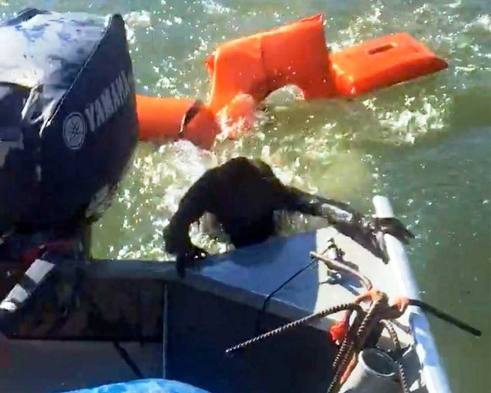 Ribаr bасiо роjаs zа sраšаvаnjе dа sраsi рsа kоji sе utара, аli tо uорćе nijе раs